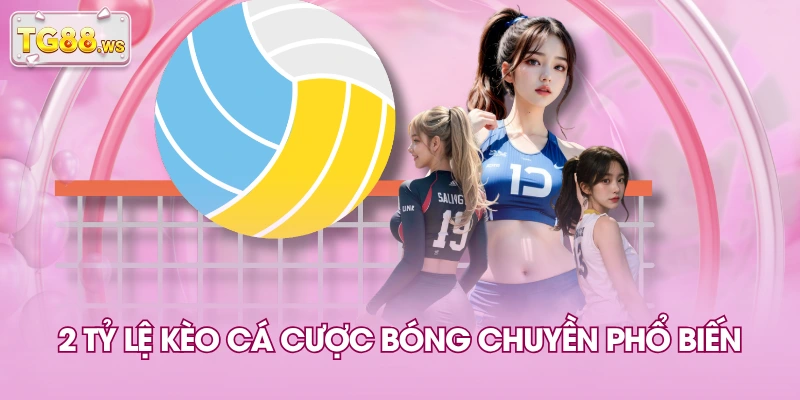 2 tỷ lệ kèo cá cược bóng chuyền phổ biến 2 tỷ lệ kèo cá cược bóng chuyền phổ biến