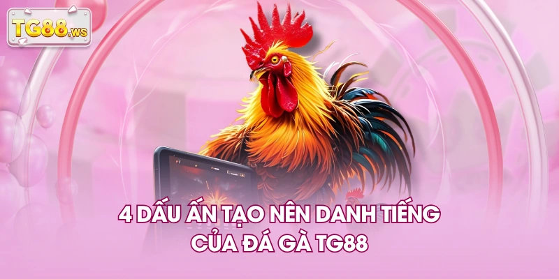 4 dấu ấn tạo nên danh tiếng của đá gà TG88 4 dấu ấn tạo nên danh tiếng của đá gà TG88