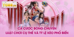 Cá Cược Bóng Chuyền - Luật Chơi Cụ Thể Và Tỷ Lệ Kèo Phổ Biến