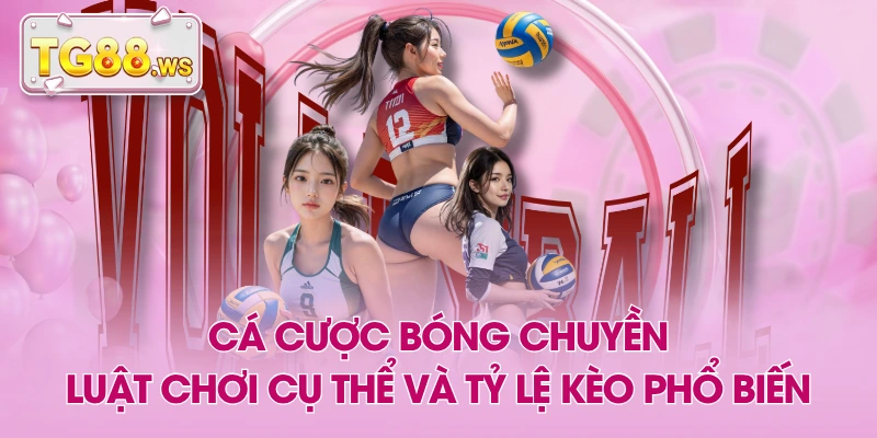 Cá Cược Bóng Chuyền - Luật Chơi Cụ Thể Và Tỷ Lệ Kèo Phổ Biến