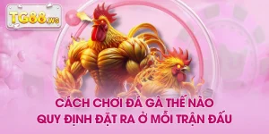 Cách Chơi Đá Gà Thế Nào - Quy Định Đặt Ra Ở Mỗi Trận Đấu