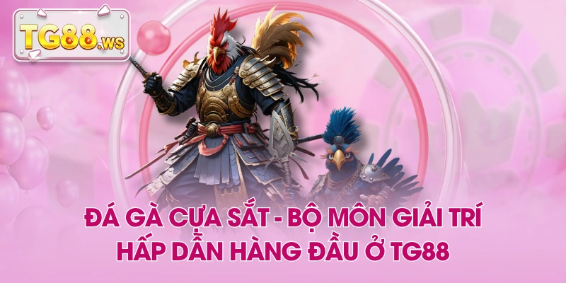 Đá Gà Cựa Sắt - Bộ Môn Giải Trí Hấp Dẫn Hàng Đầu Ở TG88