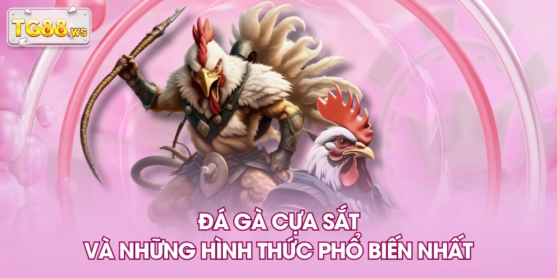 Đá gà cựa sắt và những hình thức phổ biến nhất Đá gà cựa sắt và những hình thức phổ biến nhất