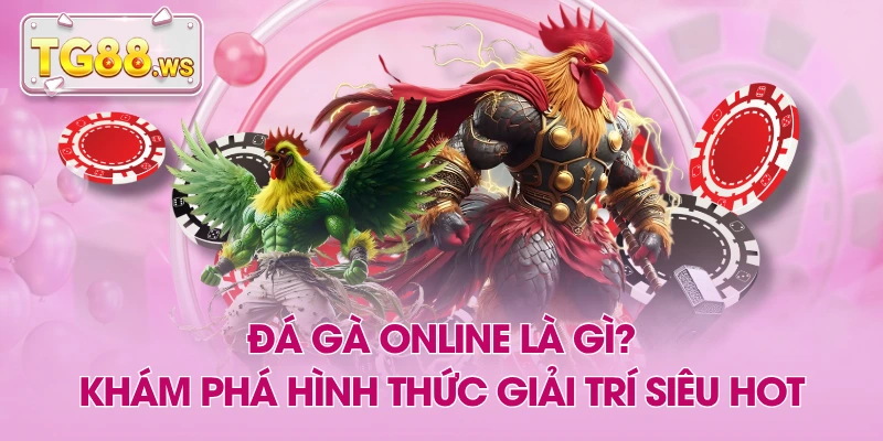 Đá Gà Online Là Gì? Khám Phá Hình Thức Giải Trí Siêu Hot