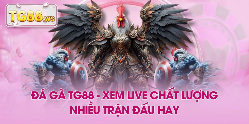 Đá Gà TG88 - Xem Live Chất Lượng, Nhiều Trận Đấu Hay Đá Gà TG88 - Xem Live Chất Lượng, Nhiều Trận Đấu Hay