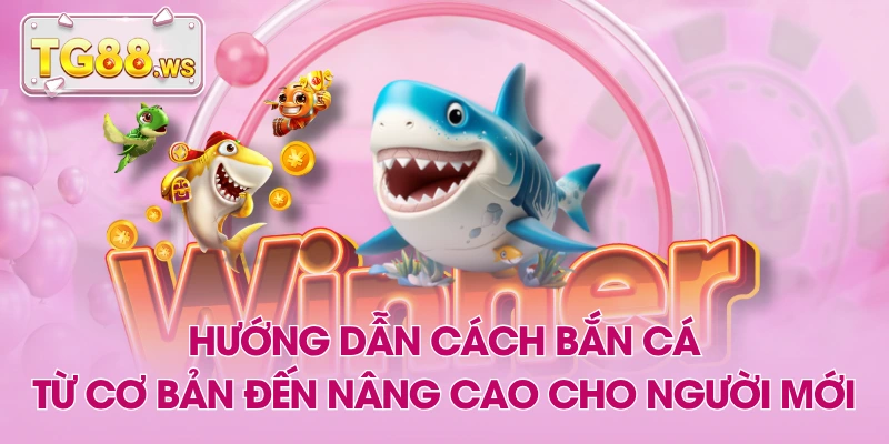 Hướng Dẫn Cách Bắn Cá Từ Cơ Bản Đến Nâng Cao Cho Người Mới