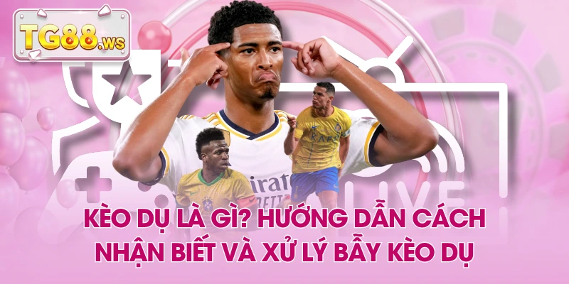 Kèo Dụ Là Gì? Hướng Dẫn Cách Nhận Biết Và Xử Lý Bẫy Kèo Dụ