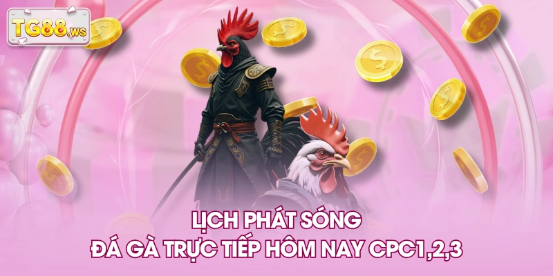 Lịch phát sóng đá gà trực tiếp hôm nay CPC1,2,3 Lịch phát sóng đá gà trực tiếp hôm nay CPC1,2,3