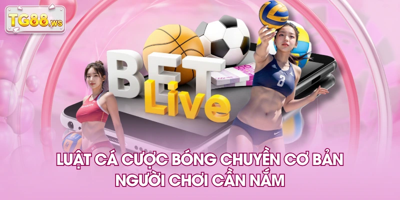 Luật cá cược bóng chuyền cơ bản người chơi cần nắm Luật cá cược bóng chuyền cơ bản người chơi cần nắm