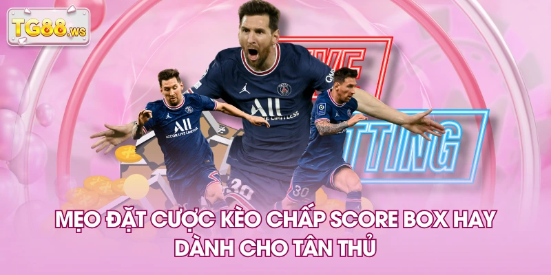 Mẹo đặt cược kèo chấp Score Box hay dành cho tân thủ Mẹo đặt cược kèo chấp Score Box hay dành cho tân thủ