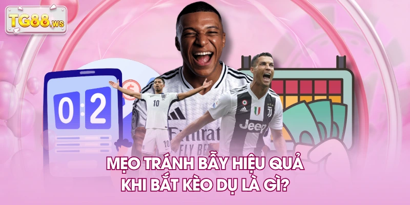Mẹo tránh bẫy hiệu quả khi bắt kèo dụ là gì? Mẹo tránh bẫy hiệu quả khi bắt kèo dụ là gì?