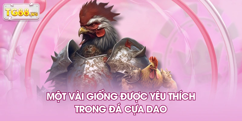Một vài giống được yêu thích trong đá cựa dao Một vài giống được yêu thích trong đá cựa dao