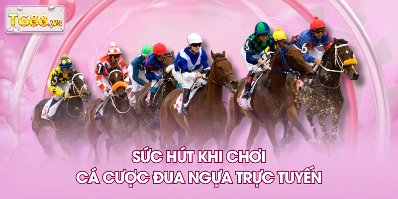 Sức hút khi chơi cá cược đua ngựa trực tuyến Sức hút khi chơi cá cược đua ngựa trực tuyến