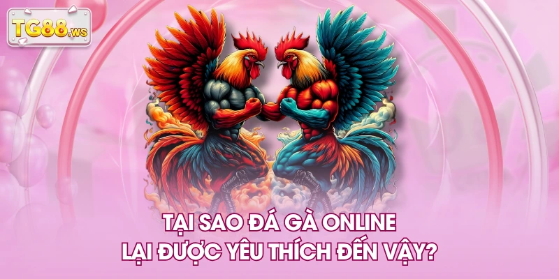 Tại sao đá gà online lại được yêu thích đến vậy? Tại sao đá gà online lại được yêu thích đến vậy?