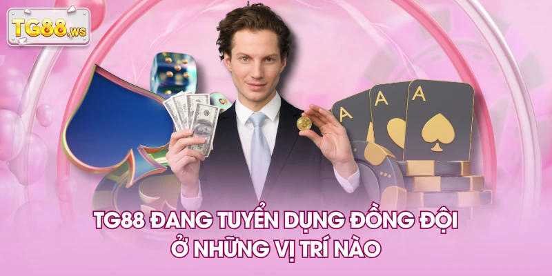 TG88 đang tuyển dụng đồng đội ở những vị trí nào TG88 đang tuyển dụng đồng đội ở những vị trí nào