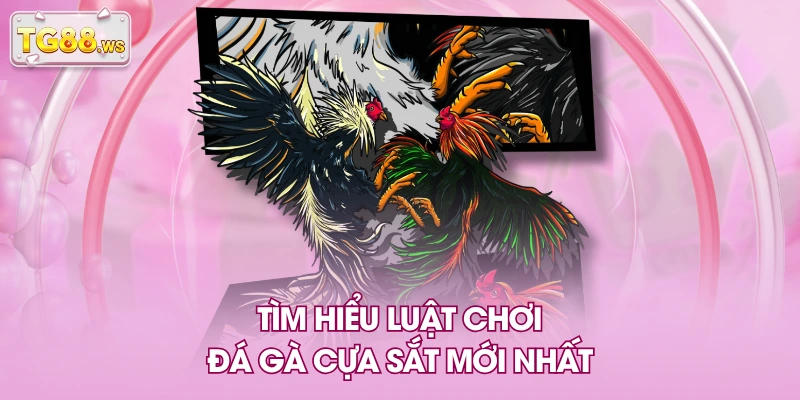 Tìm hiểu luật chơi đá gà cựa sắt mới nhất Tìm hiểu luật chơi đá gà cựa sắt mới nhất