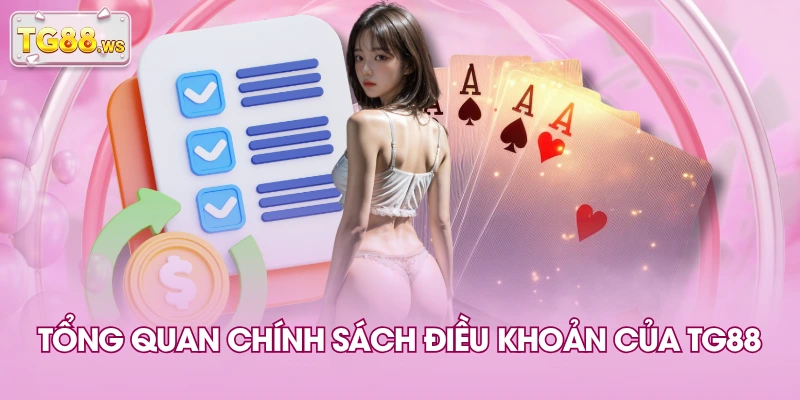 Tổng quan chính sách điều khoản của TG88 Tổng quan chính sách điều khoản của TG88